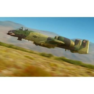 1/48 A-10A "THUNDERBOLT" II