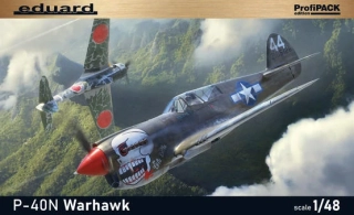 1/48 P-40N Warhawk